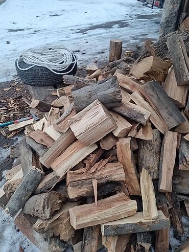 Дрова Бесплатная доставка at lalafo.kg Дрова Бесплатная доставка