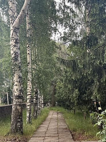 Кыймылсыз мүлк: Ысык-Көлдө конок үйү, ЭДЕМ, Золотые пески, Бостери, 6 орун, Күнүмдүк — 5