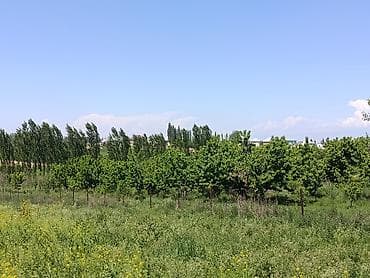 земля посевная: 60 соток, Для сельского хозяйства — 5