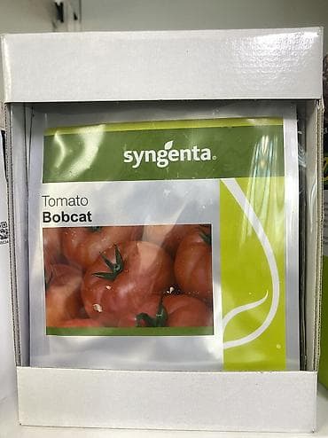 Семена овощей: Помидоры, Самовывоз, Платная доставка