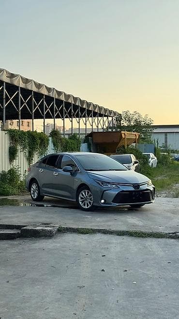 haynes pro: Toyota Corolla: 2021 г., 1.8 л, Автомат, Гибрид, Седан — 1