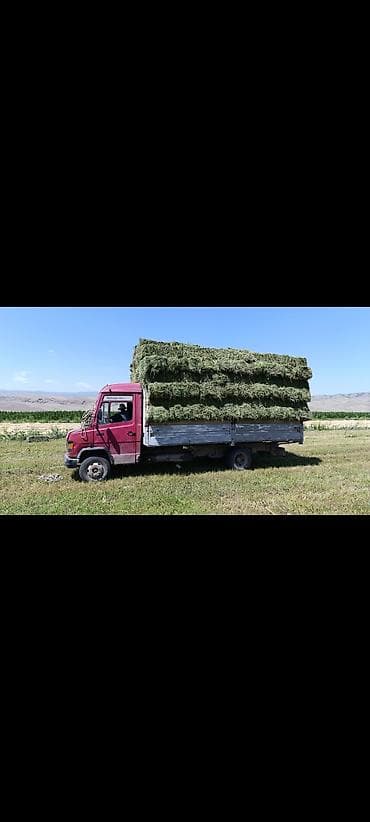 маз тонар: Грузовик, Mercedes-Benz, Стандарт, 6 т, Б/у — 9