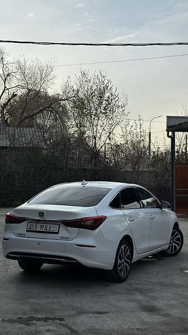 100 перохдка: Changan Eado: 2019 г., Автомат, Электромобиль, Седан — 3