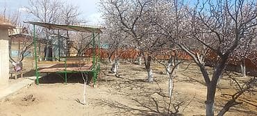питомник розы: 9 соток — 6