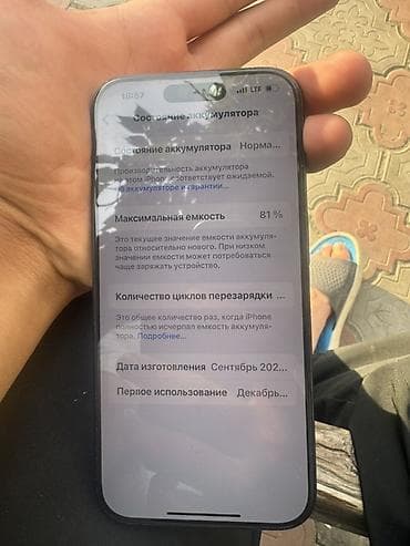 life network system: IPhone 14 Pro, 128 ГБ, Черный, 81 % — 2