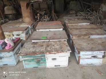 Зоотовары: Рамки для пчёл суш в отличном состоянии ( срочно продается ) ! — 5