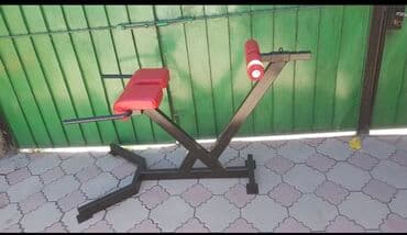 тренажер для пресса домашний: Силовой тренажер, Гиперэкстензия, Для спины, Новый, Платная доставка, Самовывоз — 1