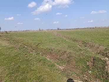 требуется кафе: Для сельского хозяйства — 4