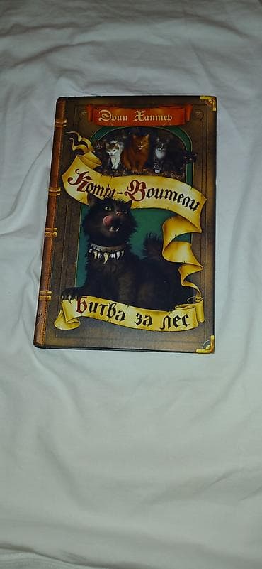 gravity falls: Подборка детских и подростковых книг в твердых обложках: 1) Гравити — 2