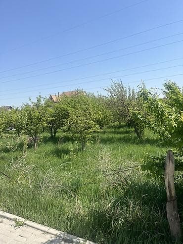 продаю участок кунтуу: 6 соток, Для строительства, Красная книга — 4