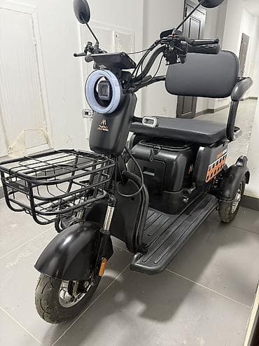 купить грузовой мотороллер муравей: Двухместный электрический трёхколёсный скутер Armada Motors - — 7