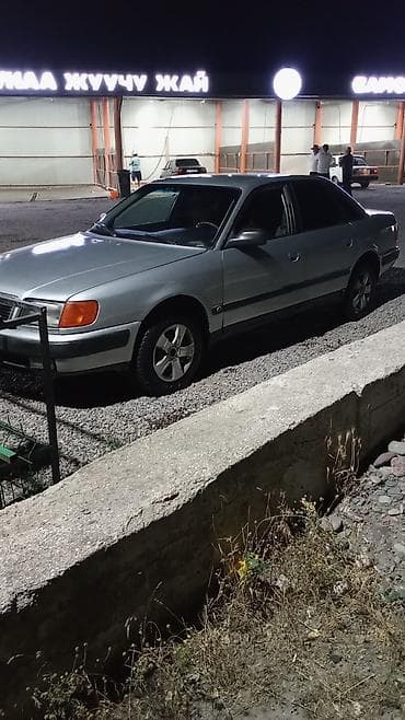 Audi 100: 1992 г., 2 л, Кол менен иштөөчү, Бензин, Седан — 1