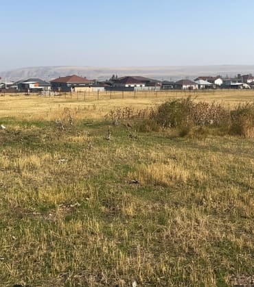 дом аренда токмок: 8 соток, Курулуш, Кызыл китеп — 1