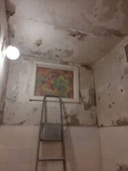 покраска стен и потолков: Шпаклевка стен, Шпаклевка потолков | Акриловая вода эмульсия 3-5 лет опыта — 11