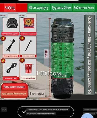 сухой фрукту: Рассада — 3