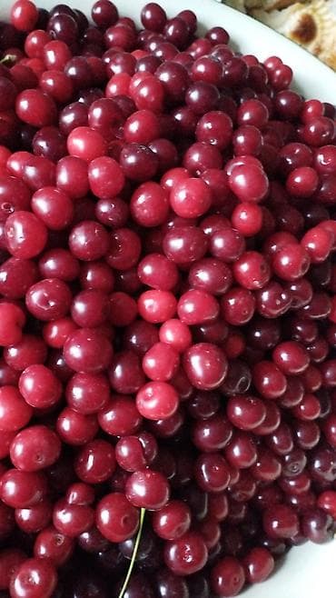 сладкий букет: Вишня Оптом — 2