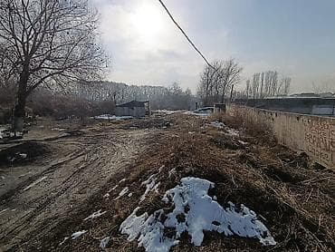 ош квартира цена: 7 соток, Красная книга — 5