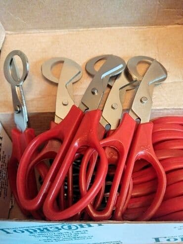 яйцо перепелиные: Ножницы для перепилиных яиц. Производство Россия, не Китай!!! Оптом от — 4