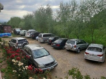 санатория: Номер — 12
