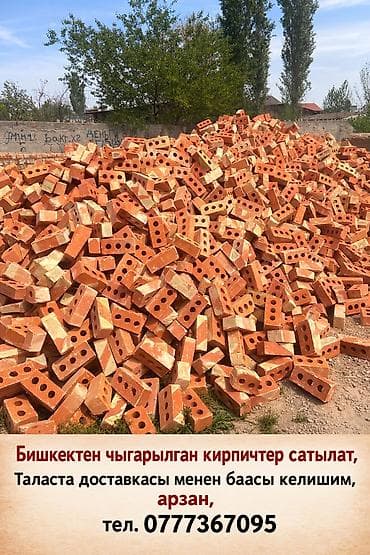 Кирпичи пустотелые (перфорация), обожженные, красные. Произведены в