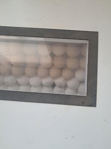 термос бочка: Инкубатор НОРМА «Урал» (модель С-12) - Электронный блок управления с — 2