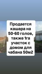 160 соток, Для бизнеса, Красная книга at lalafo.kg 160 соток, Для бизнеса, Красная книга