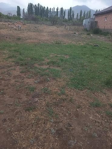 участок достоевского: 8 соток, Для сельского хозяйства, Договор купли-продажи, Красная книга — 6