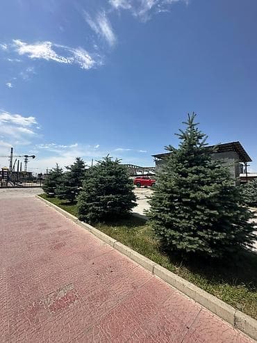адна комнатная квартира: 2 комнаты, 65 м², Элитка, 3 этаж, Косметический ремонт — 2