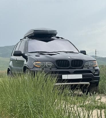 BMW X5: 2005 г., 4.4 л, Автомат, Бензин, Внедорожник