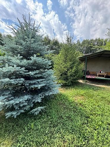 Үйлөр: ‼️🏡 ПРОДАЁТСЯ ДОМ С БОЛЬШИМ УГЛОВЫМ УЧАСТКОМ! 🏡‼️ 📍 с. Токбай, ул — 1