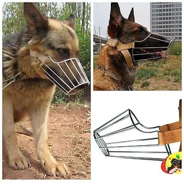 адлер серебристый: ПРОДАЮ НОВЫ ЦЕПИ В ТРЕХ РАЗМЕРАХ ТОЛЩИНЫ(ЦЕНА ЗАВИСИТ ОТ — 10