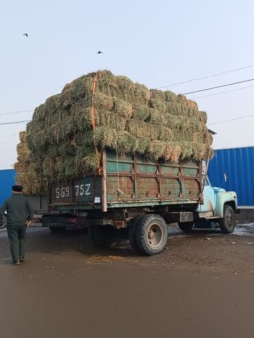 арашан ко: Продаю 3укос 460 сом с доставкой сокулук беловодск — 3