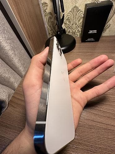 pixel 10: IPhone 12 Pro, Б/у, 128 ГБ, White Titanium, Защитное стекло, Чехол, 100 % — 3