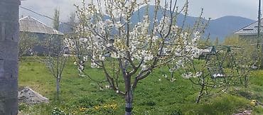 продаю дом с раздольное: 5 соток, Красная книга — 3