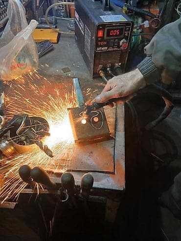 Азык-түлүктөр: Плазмарез — 2