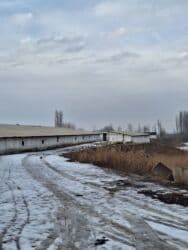 изу земельный дом жил массив кок жара: Продаю Ферма КРС, 1000 соток, Действующий, С оборудованием, Электричество — 1