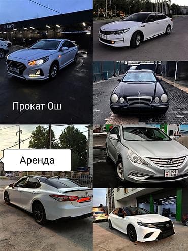 Предлагается услуга по аренде автомобилей для различных нужд. В