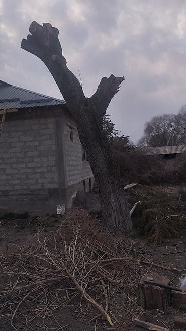 far cry 4: Орех сатылат келишим баада — 1