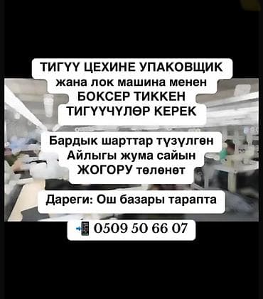 Швея, Постоянная, 4-нитка, Детская одежда, Опыт работы: Менее года опыта
