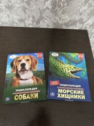 срочно продаю в связи с переездом: ГРАВИТИ ФОЛЗ - 1200 сомов, КРАСНАЯ КНИГА МИРА - 800 сомов, БОЛЬШАЯ 4D — 3