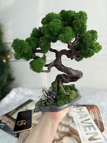 купить фильтр для аквариума: Миниатюрные ДЕРЕВЬЯ Бонсай из стабилизированного мха — это стильная — 10