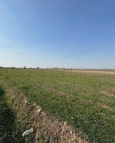 поливной земли: 125 соток — 9