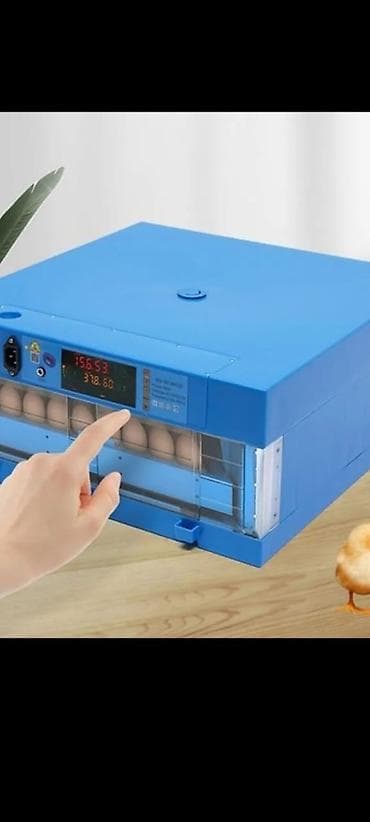 обезьяна купить: Инкубатор жасаганга терморегулятор датчик сатылат жаңы китайский — 2