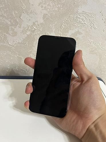 pixel 10a: IPhone 13 Pro, Б/у, 256 ГБ, Sierra Blue, 73 % — 7
