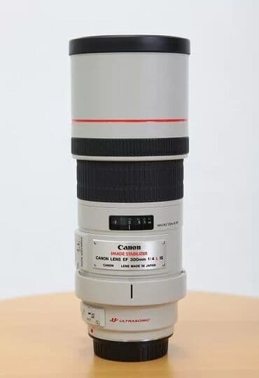 нужен фотограф: Объектив Canon EF 300mm f/4L IS USM+ экстендер EF 1,4x IIб/у — 1