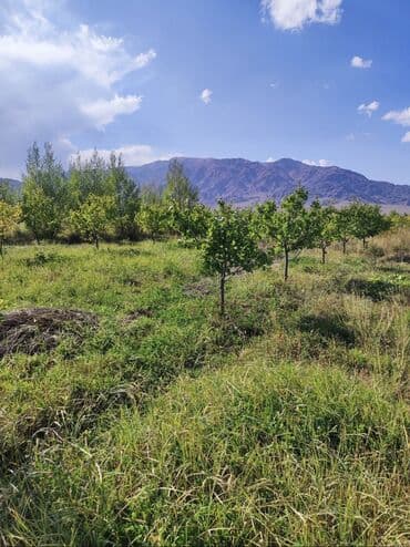 рабочий городок пол дома: 600 соток, Айыл чарба үчүн, Кызыл китеп, Техпаспорт, Сатып алуу-сатуу келишими — 1