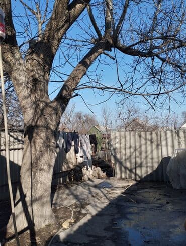 кант дрова: Дрова Орех, Самовывоз — 2