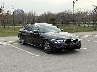2025: BMW 5 series: 2019 г., 2 л, Автомат, Бензин, Седан — 7