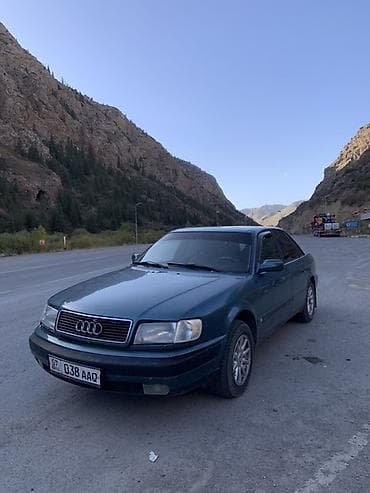 перья: Audi 100: 1994 г., Седан — 5