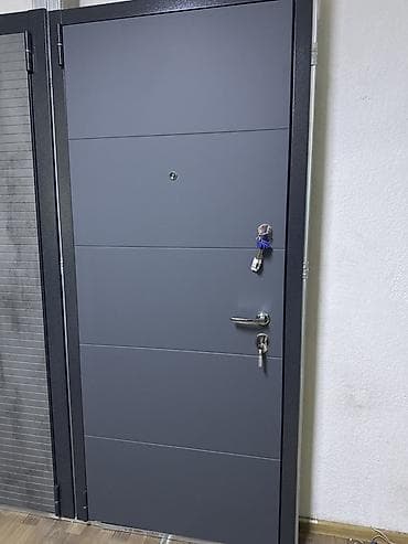 металл железо: Двери для домов и квартир, Металлическая, цвет - Серый — 1